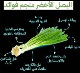 البصل الاخضر.webp