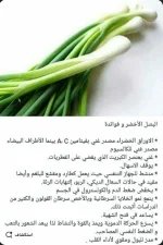 البصل الاخضر2.webp
