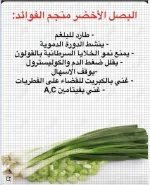 البصل الاخضر3.webp
