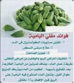 الباميه.webp