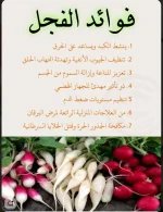 الفجل.webp