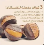 الكستناء (ابو فروة )