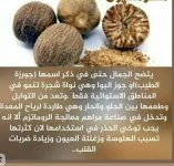 الجوزه.webp
