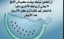 حكم11.webp