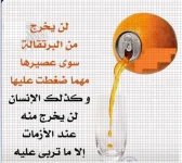 حكمة12.webp