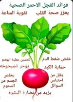 الفجل.webp