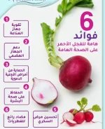 الفجل2.webp