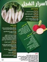 الفجل3.webp
