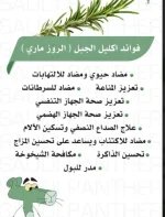 اكليل الجبل2.webp