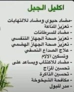 اكليل الجبل3.webp