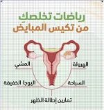 للنساء12.webp
