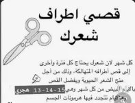 قص اطراف الشعر.webp