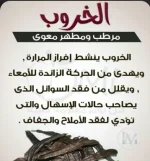 الخروب3.webp