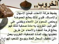 الخروب4.webp