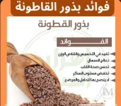 بذر القاطونة ( السليليوم )