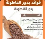 بذر القاطونه.webp