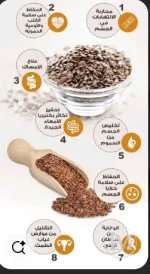بذر القاطونه2.webp