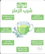 الزعتر 6.webp