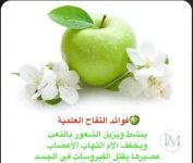 تفاح3.webp