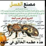 مصنع العسل.webp