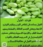 الفول الاخضر.webp