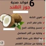 جوز الهند1.webp