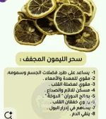 ليمون6.webp