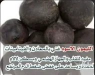 ليمون8.webp