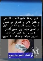 الاذن.webp