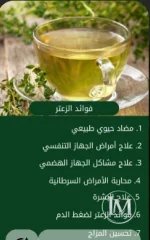 المورينجا.webp