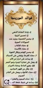 الموبنجا2.webp