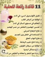 الحلبه.webp