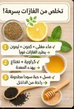 الغازات.webp