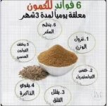 الكمون.webp