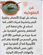 الملوخية.webp