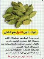 الهيل2.webp