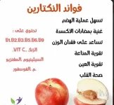 النكتارين.webp