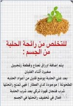 الحلبه2.webp