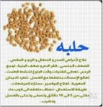 الحلبه3.webp