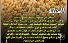 الحلبه4.webp