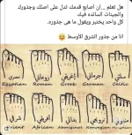 هل تعلم ان اصابع قدمك تدل على اصلك وجذورك
