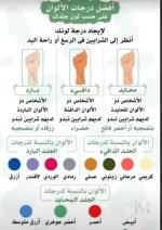 الشرايين في اليد.webp