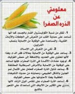 الذره الصفراء.webp