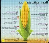 الذره 2.webp