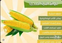 الذره3.webp