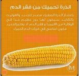 الذره4.webp