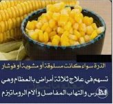 الذره5.webp