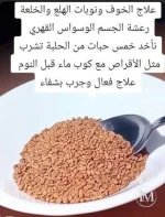 الحلبه.webp