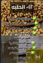 الحلبه2.webp