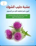 حليب الشوك.webp